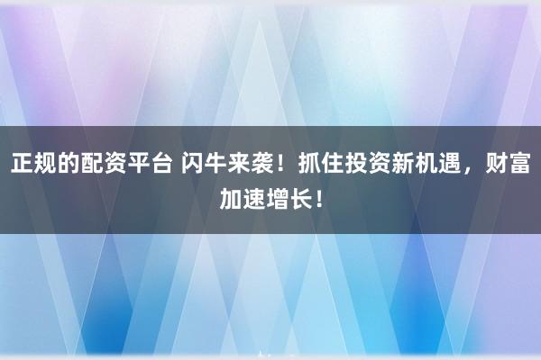 正规的配资平台 闪牛来袭！抓住投资新机遇，财富加速增长！