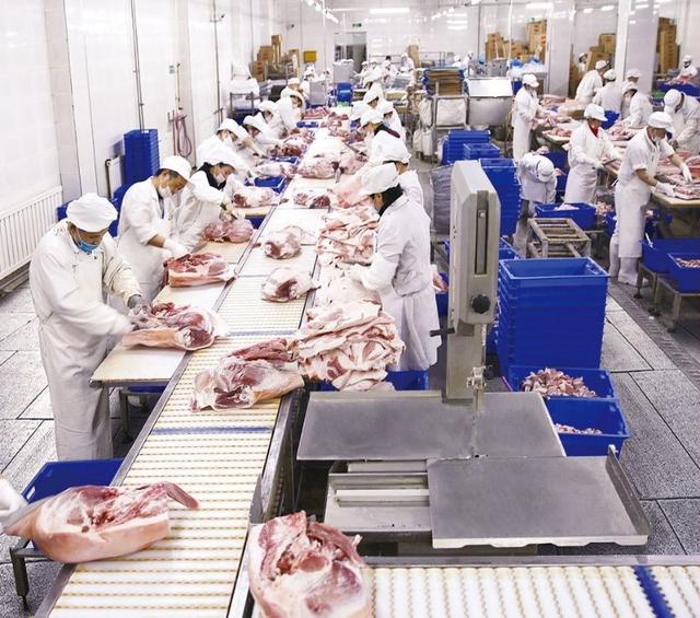 哈尔滨市巴彦县:培育龙头企业 万润肉类加工公司实现养殖加工销售全产业链发展