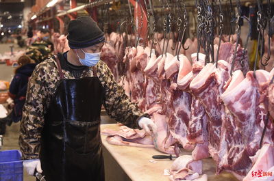 前三季度四川生猪出栏量同比增长29.8%,养殖户亏损加重