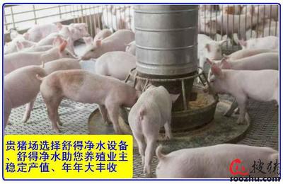 提供精品绿色环保水处理设备养殖机械养猪场机械化养猪场饮水设备|产品中心|盐城市舒得水处理设备制造有限公司|搜猪网_生猪预警网企业空间