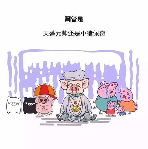 非洲猪瘟有什么危害